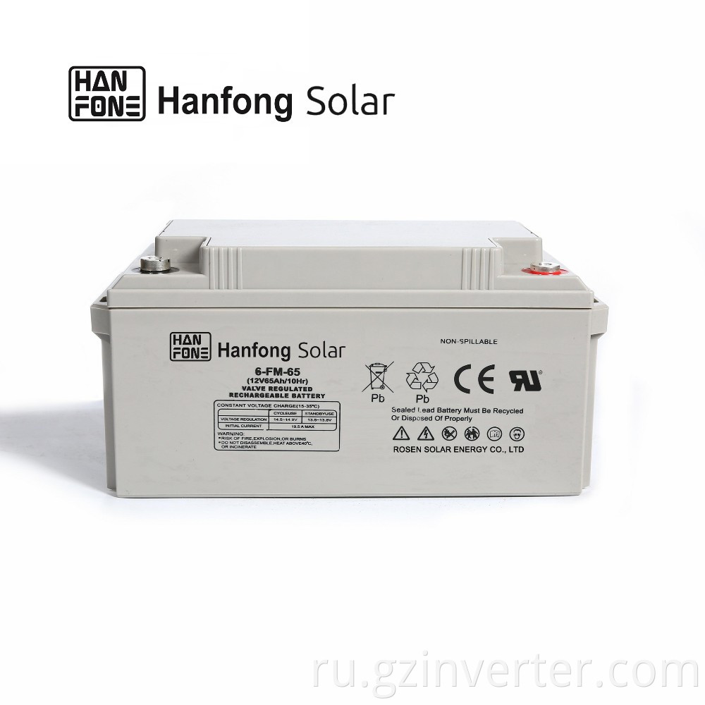 battery for low frequency inverter